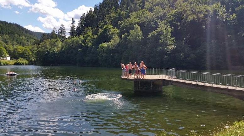 Herzberger Teich - Goslar - Sommer - SUP - Standup Paddle Baord